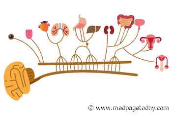 Are SGLT2 Inhibitors' Cardiorenal Benefits a Nervous System Effect?