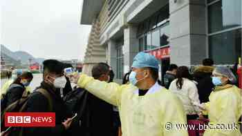 Coronavirus: Chinese workers offered free transport