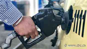 Little-used part of Constitution led to different carbon tax rulings: experts