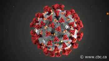 5th coronavirus case in Ontario, a woman who was recently in Iran