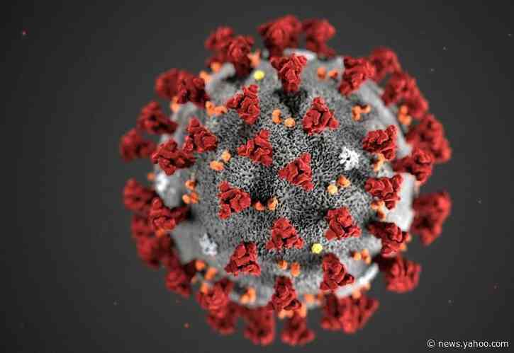 Health authorities expect coronavirus spread on US soil