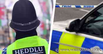 Every crime committed near where you live in 2019 - Wales Online