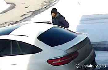 Police seek 2 vehicles linked to 8 recent break-ins in Ottawa suburbs - Global News