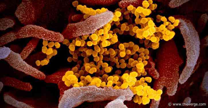 An experimental treatment for the new coronavirus is being tested in the US