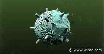 The Next Generation of Batteries Could Be Built by Viruses