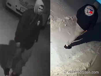 Police looking for help identifying B&E suspect