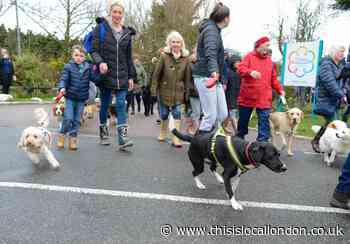 Dog walkers complete chilly annual £5K charity walk for St Clare Hospice