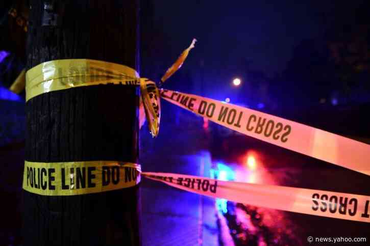 White US police officers use guns more often than black officers: study