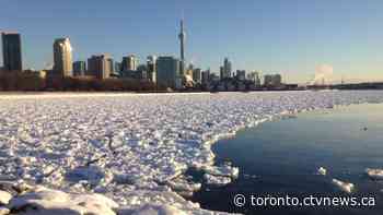 Record number of tourists visited Toronto in 2019