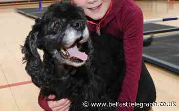 Schoolgirl set to be youngest person from Northern Ireland to compete in Crufts