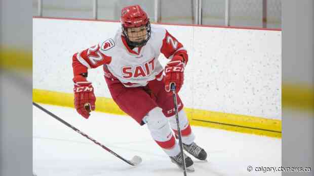 Slur on the ice at SAIT prompts calls to get tough on racism in hockey