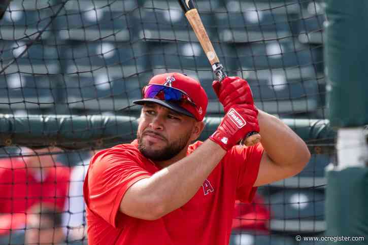 Local product Jose Rojas looks to complete underdog story and make the big leagues