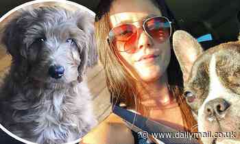 Jenelle Evans announces new pet dog less after David Eason shot and killed their canine Nugget