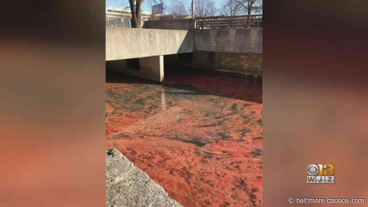 Officials Identify Source Of Recent Downtown Oil Spill