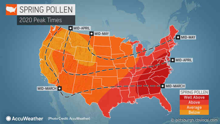 ‘Brutal’ Allergy Season Expected For Western Pa. This Spring