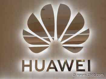 Huawei and Defense Department officials spar at cybersecurity panel     - CNET