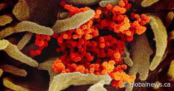 Alberta officials expand list of countries for coronavirus testing protocols
