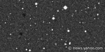 Scientists discover Earth has a second (very tiny) moon