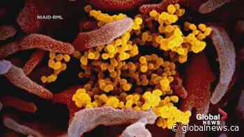 Alberta adds more preventative measures against coronavirus