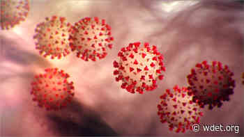 Detroit Medical Center Prepares for Coronavirus Cases - WDET