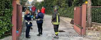 Butta 2.100 euro nel water e tira l'acqua Erba, marachella di una bimba di due anni - Erba Erba - La Provincia di Como