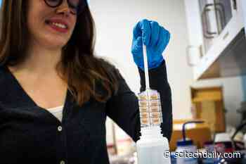 New MIT Device to Detect Trace Heavy Metal Contaminants in Water