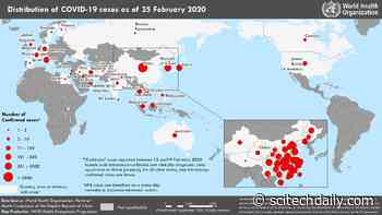 Coronavirus Deaths Explode Outside of China as Global Infections Top 80,000