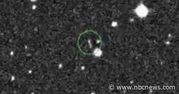 Scientists discover Earth has a second (very tiny) moon