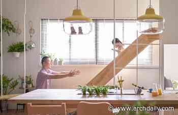 Indoor Playgrounds: Playful Architecture at Home - ArchDaily
