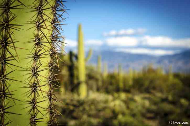 Sunshine will last all day Thursday