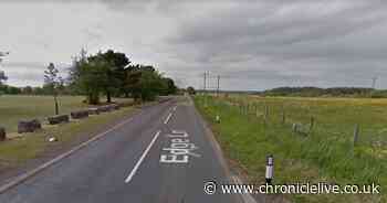 Horse put down after crash with van in County Durham - Chronicle Live