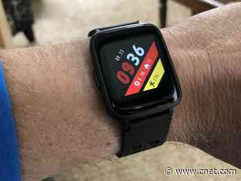 This Apple Watch copycat is surprisingly good for just $19     - CNET