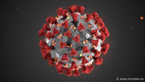 Novel coronavirus in Canada: Here's a timeline of COVID-19 cases across the country