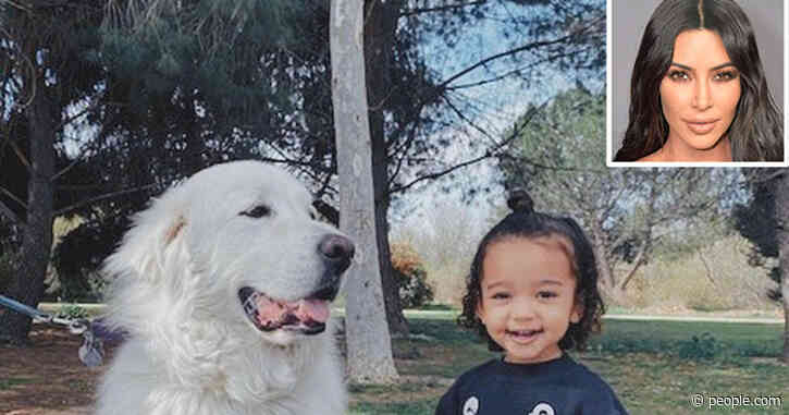 Kim Kardashian’s Daughter Chicago, 2, Makes Friends with 'Doggies' in Sweet Photos