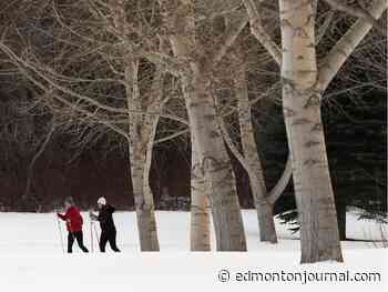 Edmonton weather: Back above zero, but it's still February so who cares - Edmonton Journal