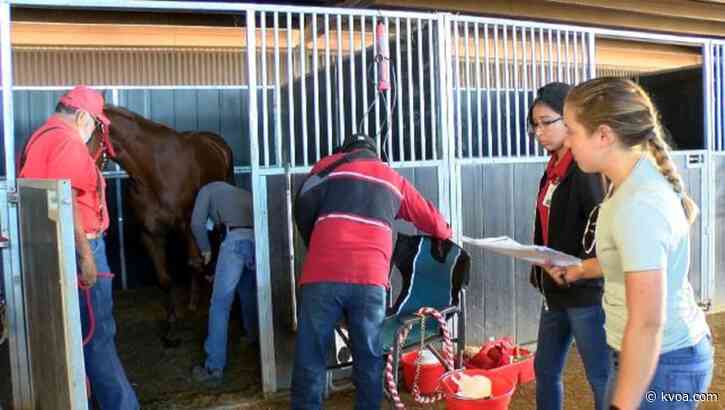 Rillito Race Track focused on safety of horses and riders