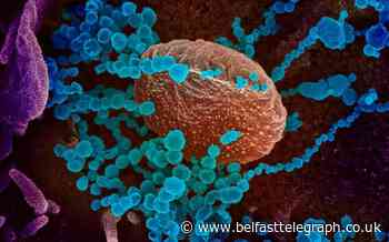 First case of coronavirus in Northern Ireland - report