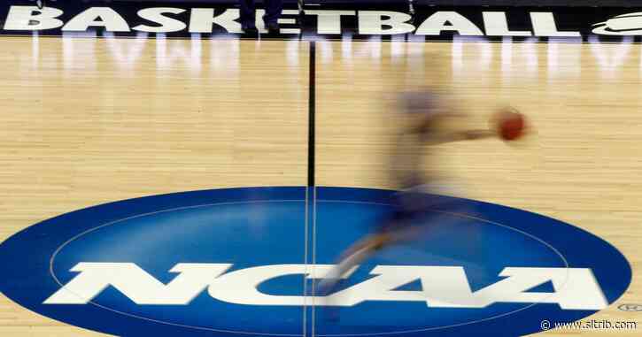 Gordon Monson: Utah, BYU and USU football and basketball need not worry. A new NCAA transfer rule is the right thing to do.