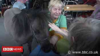 'Pony therapy' visits help care home residents with dementia