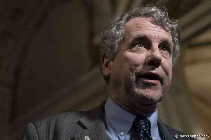 Democrats float Sherrod Brown as &#39;white knight&#39; 2020 nominee, Michelle Obama as vice president