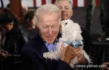 13 Years in the Making: Joe Biden Is Heading to Fox News