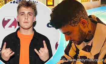 Zayn Malik breaks social media silence after Jake Paul rant - Daily Mail