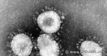 Coronavirus Hits US Stocks, Bitcoin Climbs, Haven Status Unclear