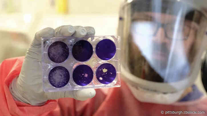 Researchers At Pitt Working To Safely And Quickly Develop Coronavirus Vaccine