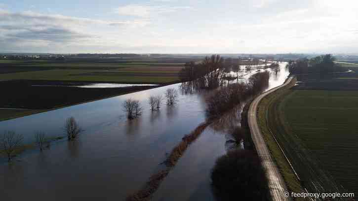 Best DDoS protection of 2020