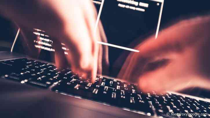 Bug bounties have made these hackers millionaires