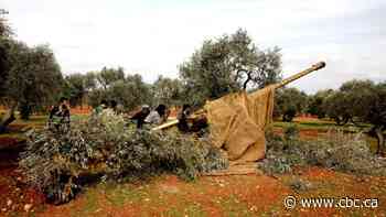 Turkish official says 33 soldiers killed in airstrike by Syrian government forces