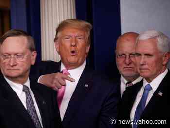 Trump reportedly put Pence in charge of coronavirus because the VP didn't 'have anything else to do'