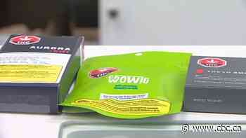 Edmonton could be a leader for cannabis cafes and lounges, advocates say