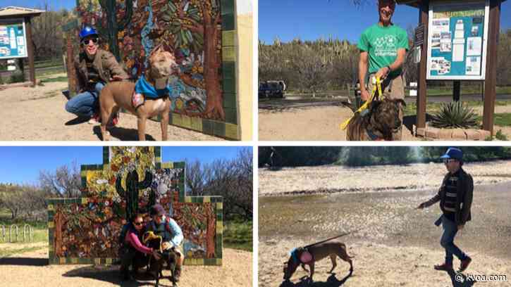 AZ State Parks organized hike for foster dogs at Canyon Loop Trail